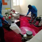 Transform Your Property’s Exterior with Royal Tide Property Wash
